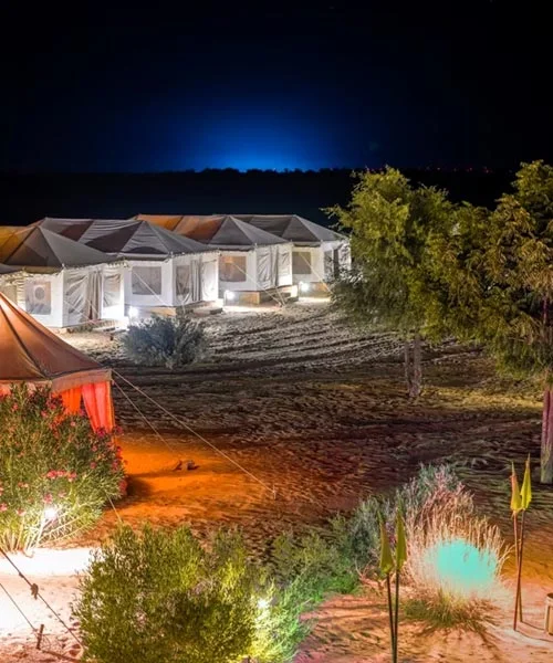 Desert Night Camp